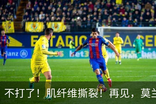 不打了！肌纤维撕裂！再见，莫兰特