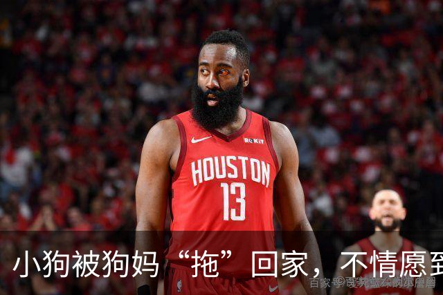 小狗被狗妈“拖”回家，不情愿到连爪子都在控诉：我还要玩！