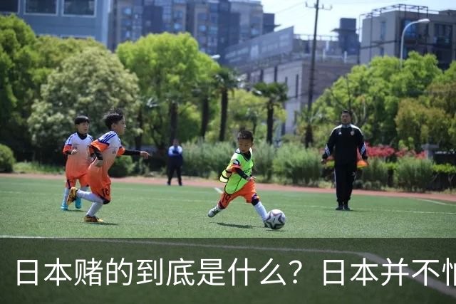 日本赌的到底是什么？日本并不怕中国制裁，也不怕经济下滑、航班取消；它压根不是在赌，而是早已把最坏的结果都盘算了一遍